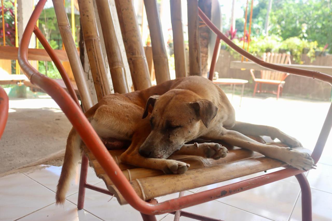 Bohol Hammock Hostel Batuan Екстериор снимка