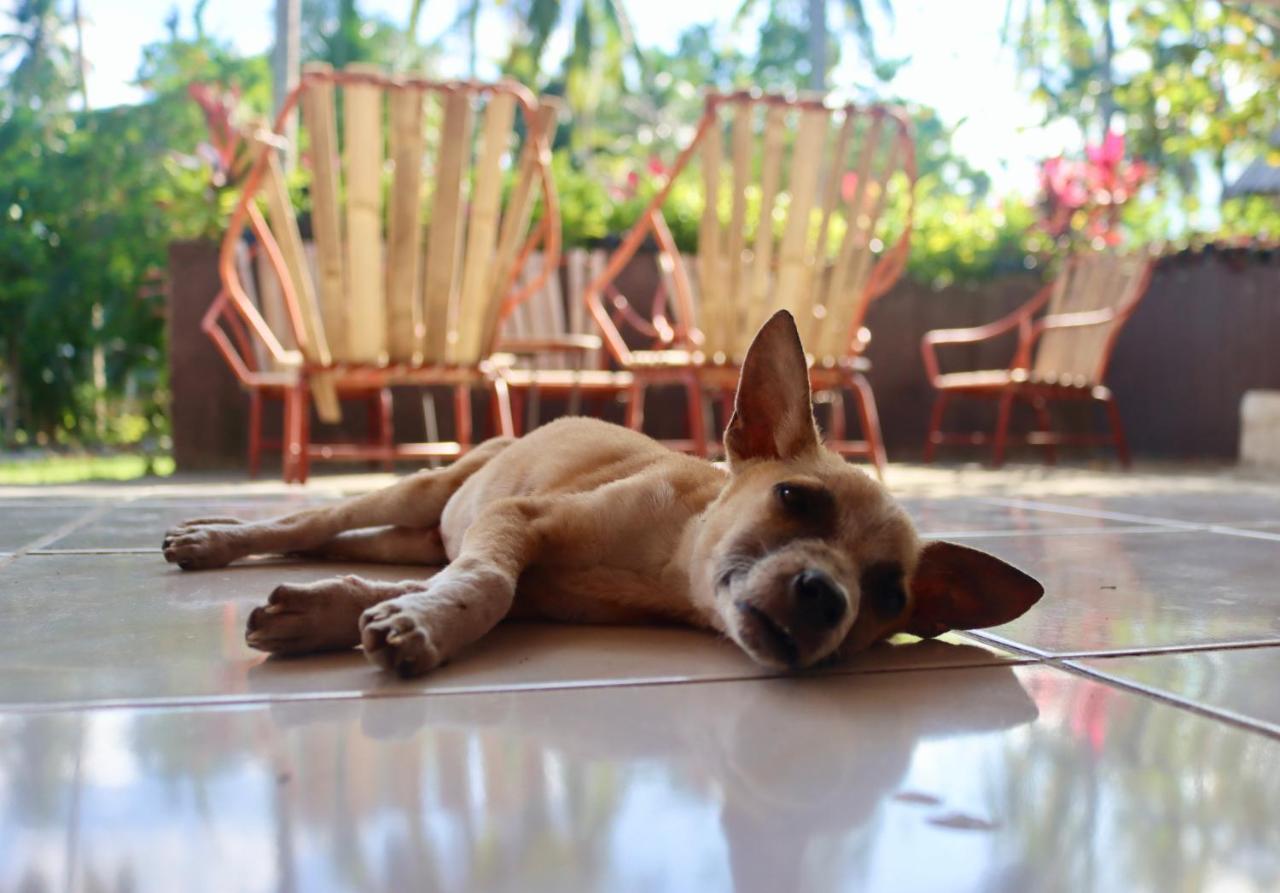 Bohol Hammock Hostel Batuan Екстериор снимка