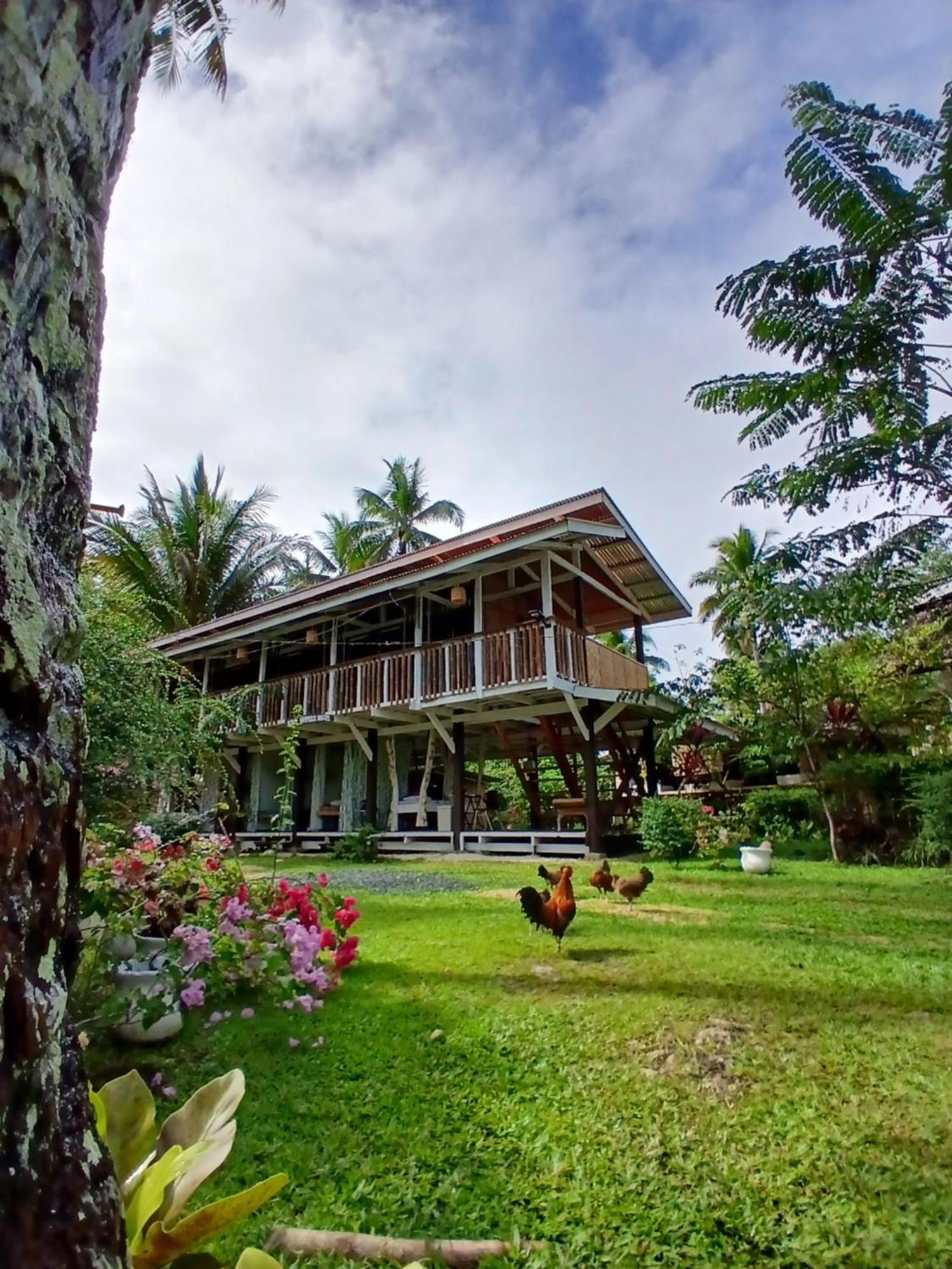 Bohol Hammock Hostel Batuan Екстериор снимка